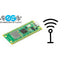Raspberry Pi Pico W