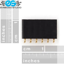 Female Straight Angle Header