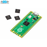 Raspberry Pi Pico microcontroller board featuring RP2040 dual-core chip with soldered header pins, micro-USB port, and loose RP2040 ICs alongside Embedded Studio logo on white background